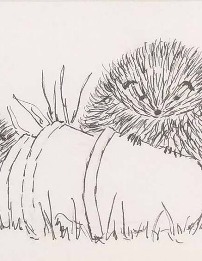 Hedgehogs with pots by Claire Allan