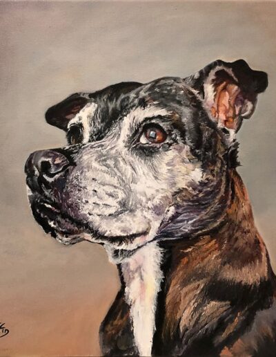 Contemplation By Pete Goffin