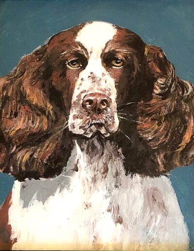 Spaniel by Bernadette Collins.