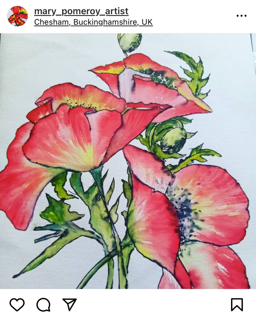 Red and yellow flowers