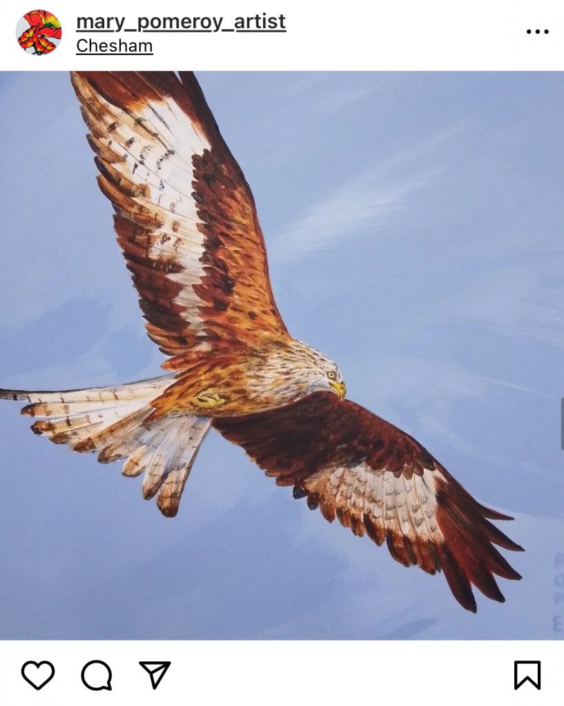 Red kite on blue sky