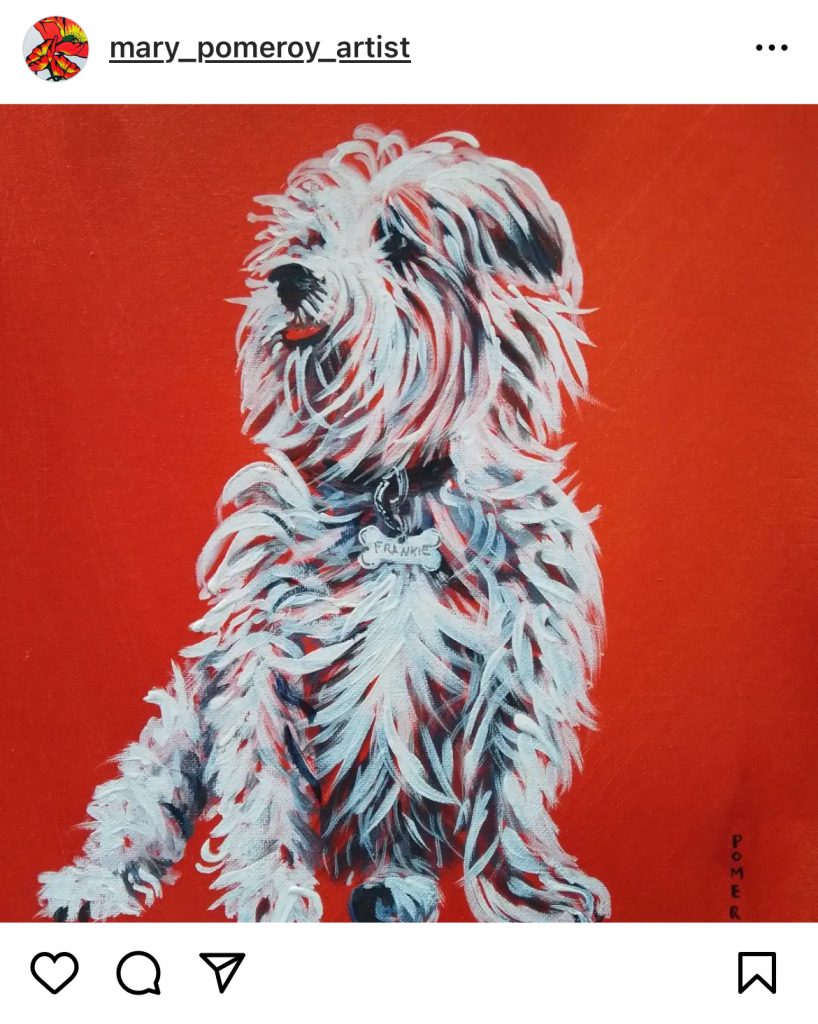 Dog on red background