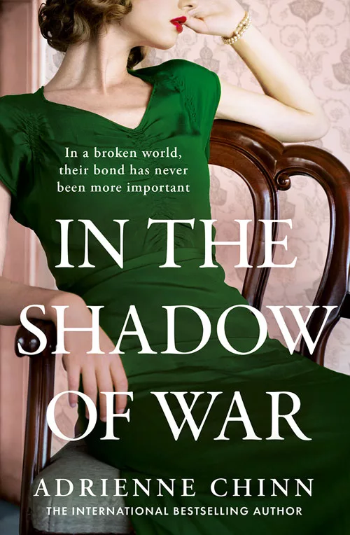 In the shadow of war book front cover. Lay in green grass reclines on a brown chair.