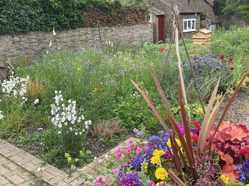 After Wildflowers