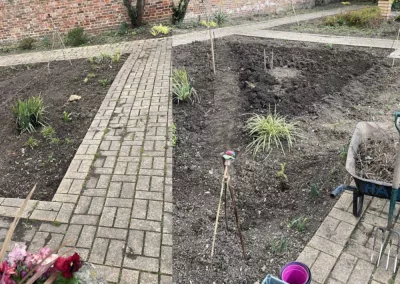 Box hedges removed